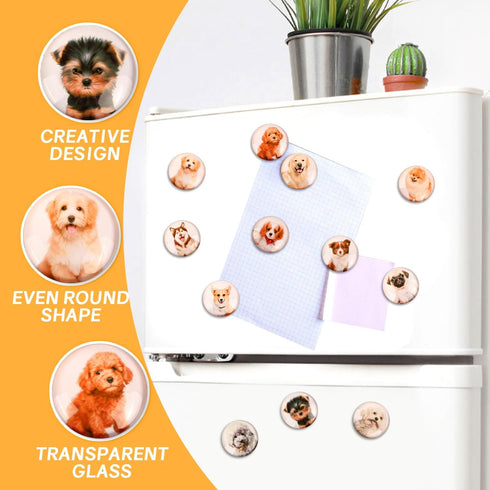 Glass Strong Animals Refrigerator Magnets,12 Pcs Decorative Magnets for Fridge Lovely Decor for Home Kitchen Office Whiteboard (Dog Refrigerator M...