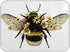Bee Flower Cute Dish Drying Mat Countertop Protector Kitchen Decor 16" × 18"...
