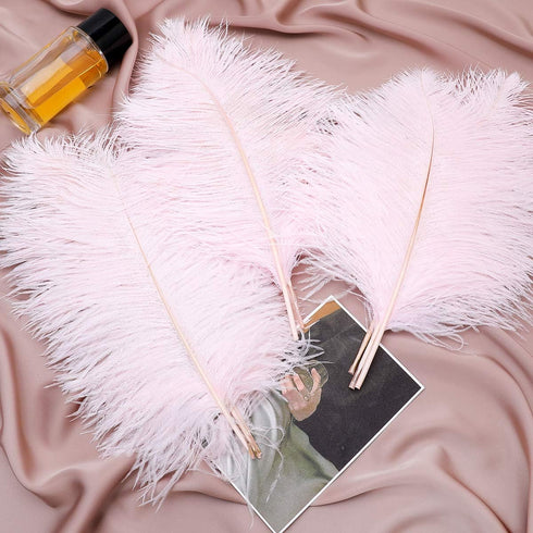12pcs Natural Light Pink Ostrich Feathers 12-14inch (30-35cm) for Wedding Party Centerpieces?Flower Arrangement and Home Decoration....