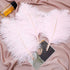 12pcs Natural Light Pink Ostrich Feathers 12-14inch (30-35cm) for Wedding Party Centerpieces?Flower Arrangement and Home Decoration....