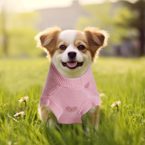 Dog Heart Sweater Classic Knitted Puppy Sweater Warm Pet Holiday Dog Clothes Cat Sweater Outfits for Small Cats and Dogs...