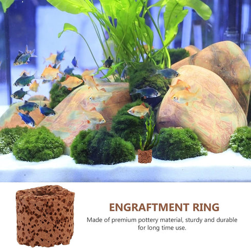 Totority Aquarium Plant Anchors 30pcs Aquatic Fixed Ring Water Plant Fixed Ring Aquarium Plant Holder Pottery Gravity Ring Fish Tank Grass Ring Aq...