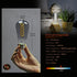 ST19(ST58) LED Smoky Grey Glass Edison Bulb, Vintage, 6 Pack, Daylight 5000K, Antique Flexible Spiral LED Filament Light Bulb, Dimmable, 300LM, 4....