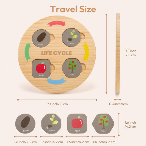 Life Cycle Toys for Kids, 12 Themes Montessori Preschool Science Center Materials, Wooden Learning & Educational Toys for Toddlers, Learning Game ...