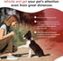 Pet Training Clicker, Whistle -Training Behaviour Aids Accessories for Puppies with Lanyard - Barking Control Device - Long Range Adjustable Frequ...
