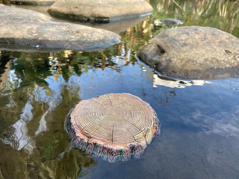 AQUA KT Aquatic Turtle Round Floating Dock Tortoise Bearded Dragon Basking Platform with Suction Cup for Reptile Aquatic Aquarium Decoration...