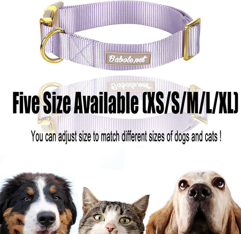 Babole Nylon Dog Collars Lavender for Small Puppy Dog,13 Colors,Adjustable Soft Comfortable Pet Collars with Safety Metal Buckle for Medium Large ...