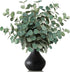 TOPHOUSE 6pcs Artificial Eucalyptus Leaves Stems Bulk 24.8” Silver Dollar Eucalyptus Artificial Greenery Silk Eucalyptus Plant for Home Wedding Fa...