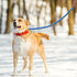 Mile High Life | Mountain Climbing Dog Rope Leash with Heavy Duty Metal Sturdy Clasp | Genuine Leather Tailored Connection with Strong Stitches (S...