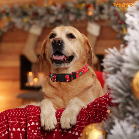 WHIPPY Christmas Dog Collar, Dog Christmas Collars with Santa and Christmas Tree Pattern Adjustable Christmas Boys Girls Dog Collar with Safety Pl...
