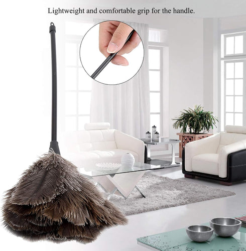 Ostrich Duster, Large Mini Hand Made Washable Supplies for Books Keyboard Office Home...