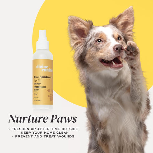 Paw Sanitizer Spritz - Dog Paw Cleaner - Cleans & Protects Paw Pads - Dog Grooming - Soothing Cleaning & Conditioning - Copaiba Oil, Vitamin E - N...