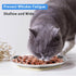 Stainless Steel Cat Dishes for Food and Water Bowls for Small Pets Relief of Whisker Fatigue -2 Sets Shallow Style(6.5 Inch)...