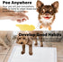 Disposable Underpads with Leak-Proof Quick-Dry Design for Incontinence, Absorbent & Won’t Leak Pads for Dogs and Puppy Potty Training,5 Count 24 x...