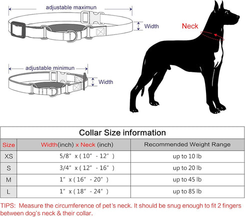 Plutus Pet Reflective Martingale Collar with Buckle - Durable and Adjustable Training Collar for No Pulling, Dog Choker Collar for Small Medium La...