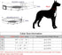 Plutus Pet Reflective Martingale Collar with Buckle - Durable and Adjustable Training Collar for No Pulling, Dog Choker Collar for Small Medium La...