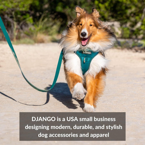 DJANGO Adventure Dog Leash – Strong, Comfortable, and Stylish Dog Leash with Solid Brass Hardware and Padded Handle - Designed for Outdoor Adventu...