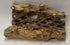 Natural Cholla Wood Chunk Air Plant Display Holders Individually Unique Decorative Stands Holder (Cholla Chunk)...