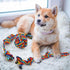 Heavy Duty Dog Rope Toys,Interactive Small Dogs Toy for Aggressive Chewers,4 Pcs Tough Dog Chew Toys for Medium Dogs,Indestructible Dog Rope Toy f...