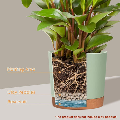 kubvici Indoor Plant Pots Set of 2 Planters 8 inch Plastic Planter with Hole & Saucer Modern Decorative for Outdoor Garden Home (Green, 8 inch)...