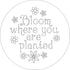 Blooms & Succulents Embroidery Pattern Transfers (set of 10 hoop designs!)...