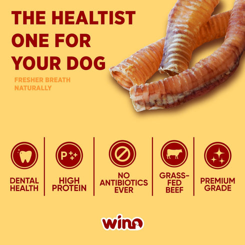 WINO - Trachea for Dogs - Fully Digestible, Odor Free Chews, Supporting Dental Health, 100% Beef Hight Protein, Delicious Dog Snacks, Reducing Des...
