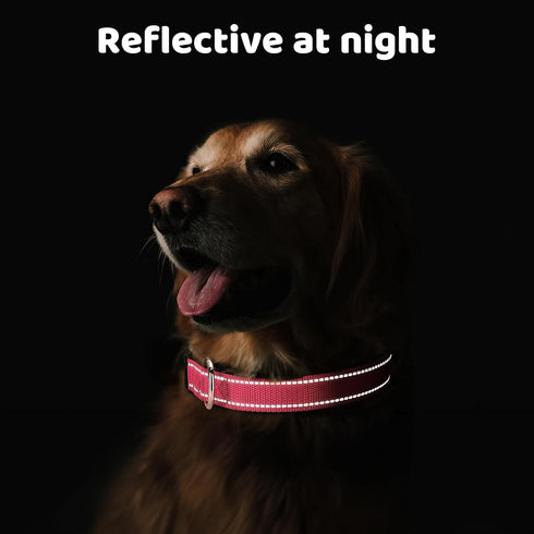 Polyester Dog Collar for Large Dogs Female Male,Durable Comfortable Padded Basic Dog Collars for Puppy Small Medium Breed with Quick Release Safet...