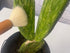 Southside Plant Cactus & Succulent Plants Cleaning Brushes - Wooden Handles w/Soft Goat Hair Bristles - Garden Cleaning Tools, Gentle on Plants, 7...