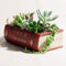 Succulent Pots, Cute Resin Animal Flower Planters Decorations, 4 Inches, Creative Pot for Sempervivum with Drainage, Gift for Women, Man, Office a...