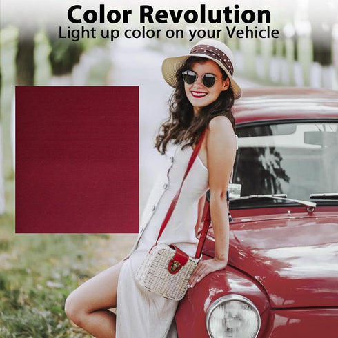 Disposable Car Floor Mats, Women Girls Red Car Floor Mats, Heavy Duty Floor Mats for Cars Auto Vehicles Automotive Mat Covers Protector Detail Was...