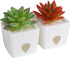 JT Eaton ZendoZones 1818-2JT Fruit Fly Trap Joyful Janet & Tranquil Tabitha, 2 Pack, White Base...