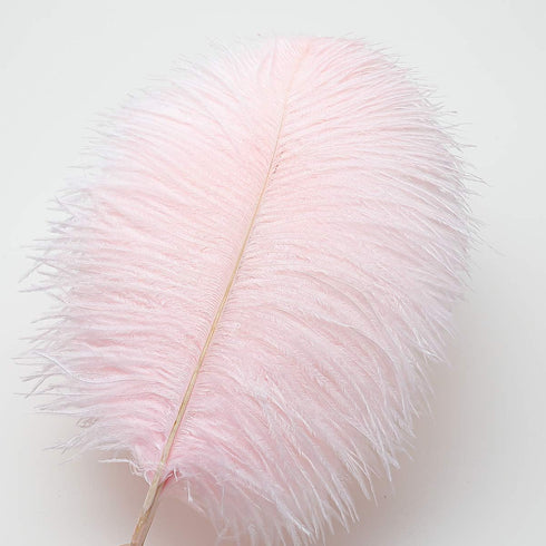 12pcs Natural Light Pink Ostrich Feathers 12-14inch (30-35cm) for Wedding Party Centerpieces?Flower Arrangement and Home Decoration....