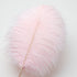 12pcs Natural Light Pink Ostrich Feathers 12-14inch (30-35cm) for Wedding Party Centerpieces?Flower Arrangement and Home Decoration....