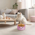 2 PCS Small Woven Basket Cat Ear Basket, Animal Cotton Rope Storage Basket with Cat Ears, Round Decorative Storage Baskets Cute Cotton Rope Cat Ba...