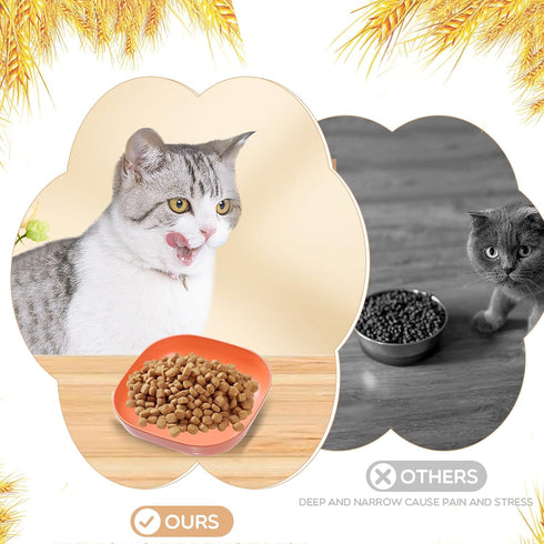 Cat Food Bowl Set 6 inch Wide Shallow Cat Bowls for Relief Whisker Fatigue,Small Flat Cat Dish, Shallow Pet Feeding Dish or Plate for Cats and Sma...