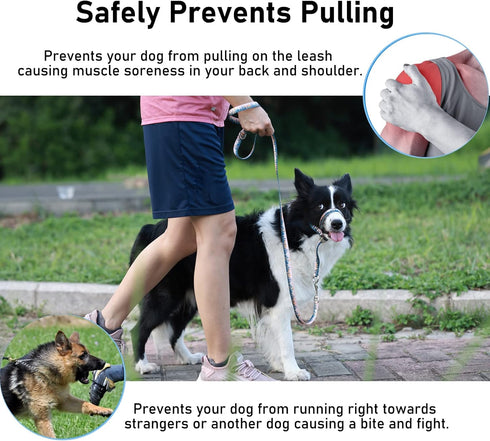 BARKLESS Dog Head Collar, Anti-Pulling Printed Head Halter with Leash, Gentle Head Harness with Adjustable Clip for Small Medium Large Dogs, Perfe...