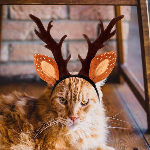 Beaupretty Christmas Hat for Cat Pet Deer Costume Hat Dog Reindeer Costume Elastic Band Adjustable Antler Headband Cat Costume Cat Christmas Antle...