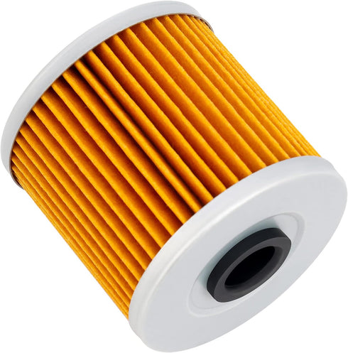 Road Passion 16099004 Oil Filter Compatible with KAWASAKI KEF300 LAKOTA 300 1995-2003 KEF300 LAKOTA SPORT 290 2001-2002...