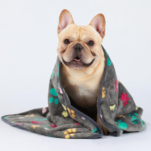 Luciphia 1 Pack 3 Blankets Fluffy Premium Fleece Pet Blanket Flannel Paw Printed Throw for Dog Cat(Small 23x16'', Grey/Brown/Blue)...