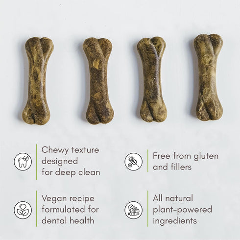 V-dog Dog Treats - Vegan Breathbone Teeth Cleaning Dental Dog Bones - Fresh Breath - 8 Ounces - All Natural - Made in USA - 6 Bones - 4" Long - Ea...