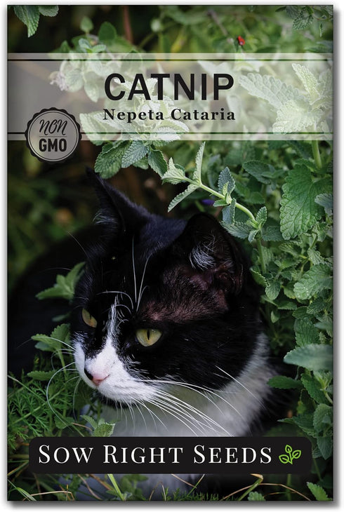 Sow Right Seeds - Insect & Pest Repellent Seed Collection for Planting - Lavender, Catnip, Marigold, Hyssop & Lemon Grass - 5 Packets with Instruc...