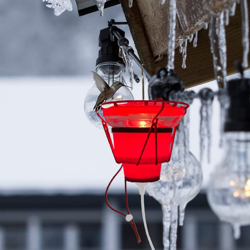 SHWORON Hummingbird Feeder Heater, Heated Feeders for Outdoors,Bird Heater Attaches to Bottom Feed Hummingbirds in Freezing Weather Winter Outdoor...