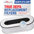 LifeSupplyUSA 3-in-1 Filter (HEPA, Carbon, Pre-Filter) fits Renpho RP-AP068 air purifier...