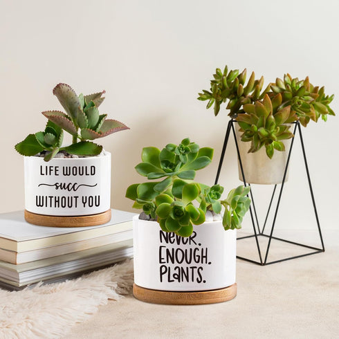 Succulent Planter Pots, Cactus Flower Pot with Drainage Tray, Plant Lovers Pot, Small Succulent Pots for Indoor Garden, White Mini Ceramic Plant P...