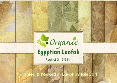 Egyptian Loofah Sponges Natural Exfoliating Body Wash Gourd, Loofah Bath Sponges for Skincare, Exfoliating Back Scrubber (Pack of 3-6.5 in.)...