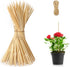 Bamboo Wood Plant Sticks for Garden Stakes Grilling Skewer Plant Sticks for Tomato,Orchid,Potato,Potted House Plants and Hand Crafts -12 Inch 60Pc...