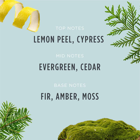 Santa's Naturals Fraser Fir Christmas Candle (9oz) | Authentic Pine Scent | Christmas Gift | Burns 30+ Hours | Made in USA | Soy and Beeswax Blend...