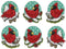Design Works Crafts Inc. Cardinals Counted Cross Stitch Ornament Kit, Red...
