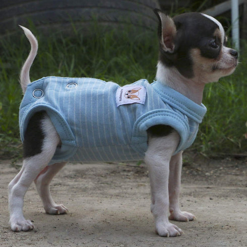 LOPHIPETS Girl Dog Shirts Recovery Suit Pajamas for Small Teacup Dog Chihuahua Yorkie Puppy Cat Clothes-Cambridge Blue Strips/XXS...