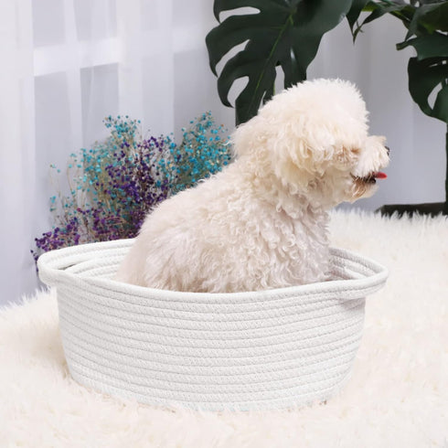 ABenkle Cute Small Woven Basket with Handles, 12"x 8" x 5" Rope Room Shelf Storage Basket Chest Box for Cat and Dog Toys, Empty Decorative Gift - ...